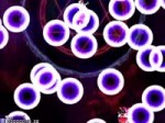 SA Reimu + Aya is objectively the fastest shot type in Touh[...].mp4