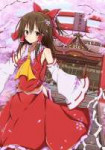 Hakurei.Reimu.full.1066022.jpg