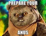 Rape-Ewok-PREPARE-YOUR-ANUS[1]