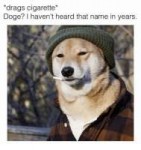 drags-cigarette-doge-havent-heard-that-name-in-years-5176510.png