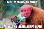 kiedy-wracasz-do-siebie-i-fajki-sa-po-14-uah-a-nie-po-14-pl[...].jpg