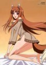 e-shuushuu.net - 88345 - Spice and Wolf - Horo - bed ookami[...].jpeg