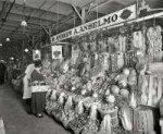 Vegetable Kingdom 1924.jpg