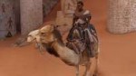 ACOrigins 2018-02-03 21-12-08-19.png