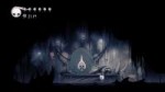 hollowknight 2018-02-14 04-00-24-031.jpg