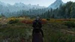 the-witcher-3-wild-hunt-foliage-visibility-range-004-ultra.jpg