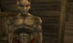 The Elder Scrolls 3- Зеленый слоник.webm