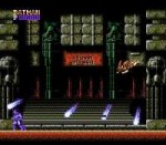 54880-Batman-TheVideoGame(USA)-6.jpg