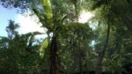 Crysis Screenshot 2018.08.01 - 08.07.35.54.jpg