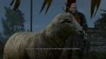 witcher320180731102431825.jpg