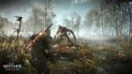 TheWitcher3WildHuntGeraltfightingawerewolfinNoMansLand-lobi[...].jpg