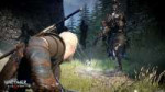 imagethewitcher3wildhunt-25218-26510001.jpg