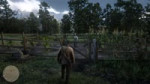 Red Dead Redemption 220181127171729.webm