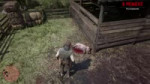 Red Dead Redemption 220181125203050.webm