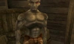 BratishkaMorrowind.webm