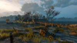 The Witcher 3 HighRes 2017.03.12 - 20.13.49.46.jpg