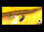 FlatOut 2.webm