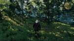 witcher3 2015-05-20 15-14-11-534.jpg