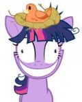 71863 - bird birdnest insane nest twilightsparkle vector.png