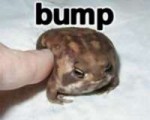 Frogbump.jpg