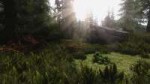 SkyrimMODGrass.jpg