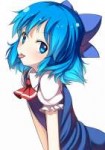 Cirno.full.1562651.jpg