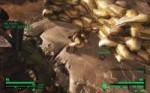 FalloutNV 2018-03-09 18-37-16-77.jpg