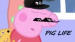 Pig Life.mp4