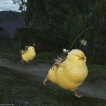 fatChocobo.png