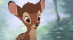 bambi-rawr-dangerous-face[1].gif