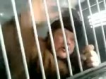 Заткнись, чмо ебаное.mp4