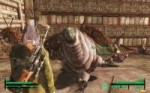 FalloutNV 2018-04-24 18-05-23-30.jpg