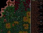 2018-05-21 125307-Dwarf Fortress.jpg