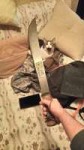 machete cat.jpg