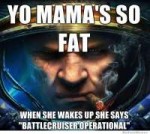 yo-mamas-so-fat-starcraft-edition.jpg