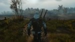 witcher3 2018-06-21 19-43-44-870.webm