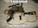 котпенсатор).jpg