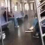 Dog on the train.mp4