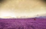 NMS 2017-08-16 10-09-47-95.jpg