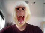 лигаMonkey Sound Effect.webm