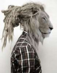 ef5de1bb90b918b869f29429d4505b7d--rasta-lion-dreads.jpg