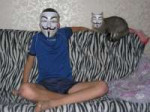 anonymous cat.jpg