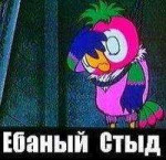 ёбаный стыд.jpg