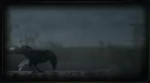 15468935330820.webm