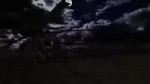 14618741047833.webm