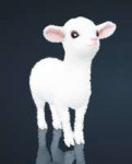 bdo-lamb-pet.jpg