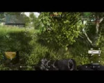 w.webm