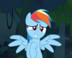 492148safesolorainbow+dashanimatedcuteseason+4daring+dontsp[...].gif