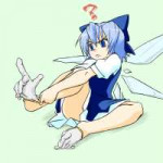 24644-Touhou-Cirno-baka.jpg