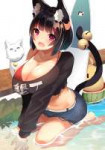 yande.re 583279 animalears azurlane bra breasthold cleavage[...].jpeg